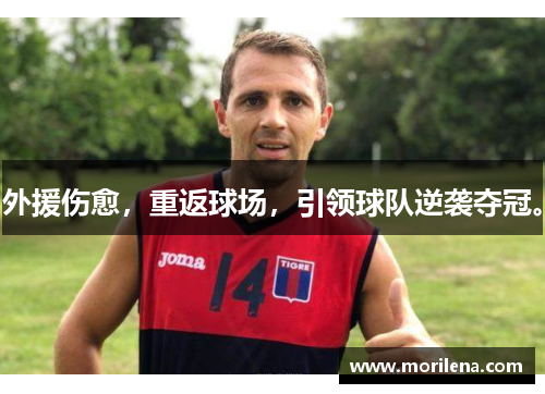 外援伤愈，重返球场，引领球队逆袭夺冠。